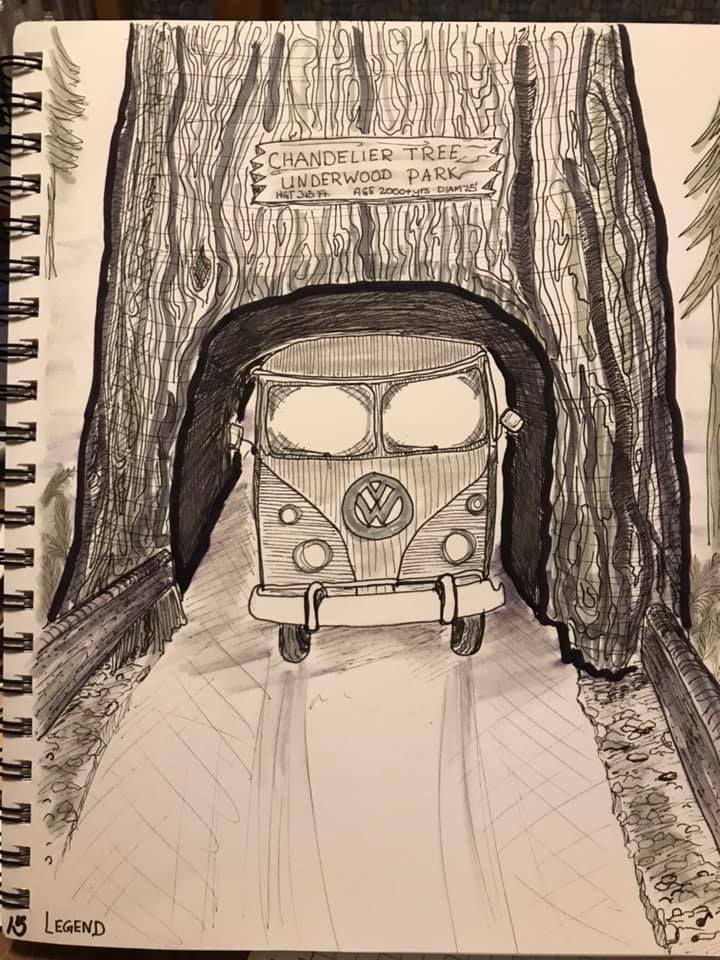 Image: "Legend" VW Bus driving underneath Redwood "Chandelier" tree in the Underwood Park