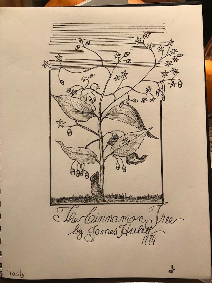 Image: "Tasty" Hand drawing of James Hulell's 'The Cinnamon Tree'